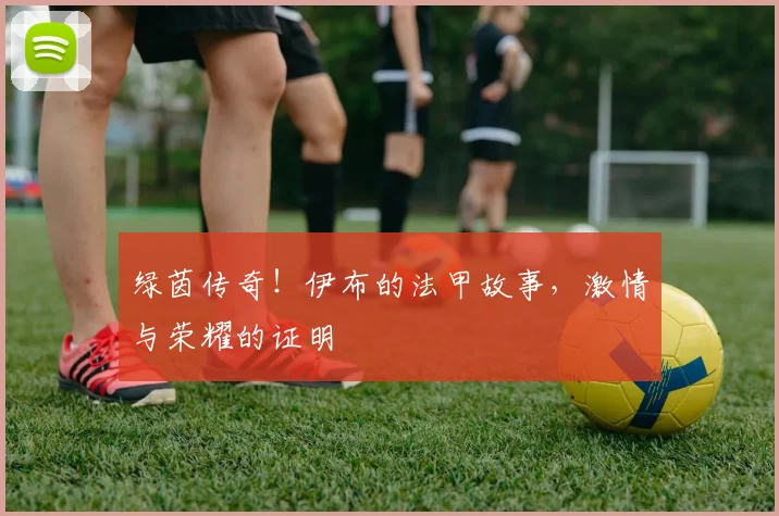 绿茵传奇！伊布的法甲故事，激情与荣耀的证明