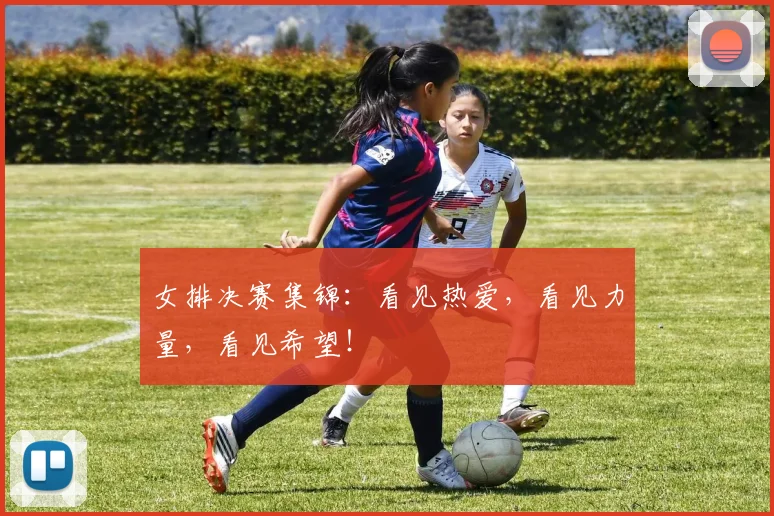 女排决赛集锦：看见热爱，看见力量，看见希望！