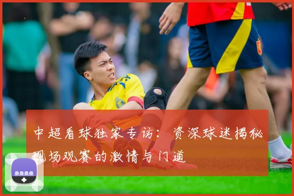 中超看球独家专访：资深球迷揭秘现场观赛的激情与门道
